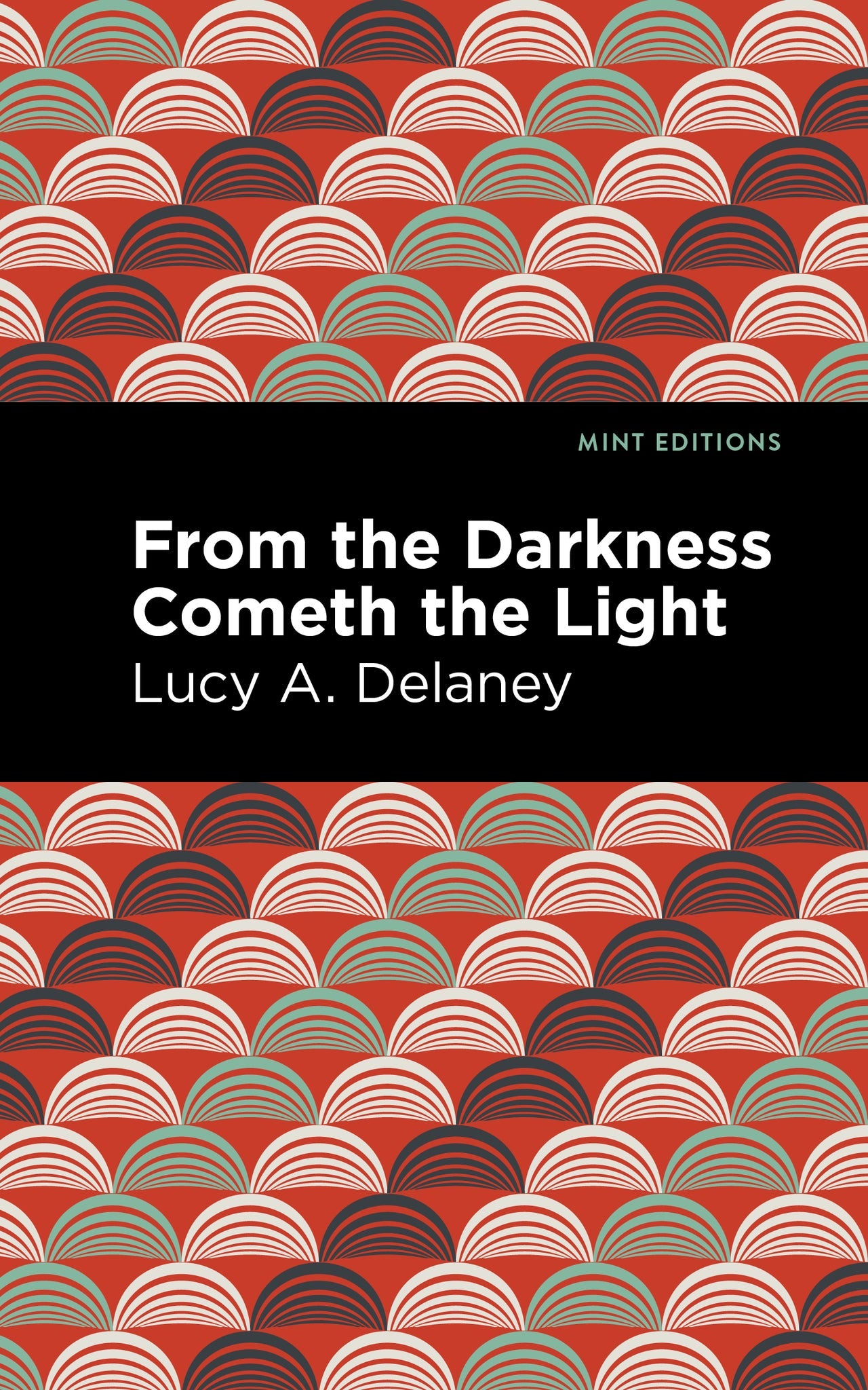 Cover image for From the Darkness Cometh Light ISBN 9798888973677